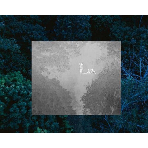 Квадрокоптер Autel Robotics EVO II Dual 640T (Thermal) Enterprise в самой максимальной топовой комплектации в Воронеже