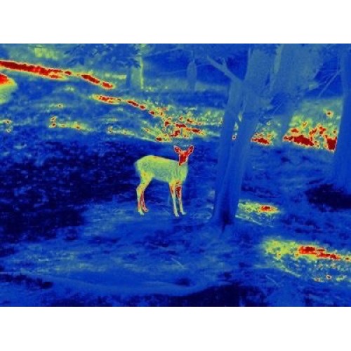 Прицел тепловизионный GUIDE TS450 в Воронеже