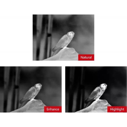 Тепловизионный бинокуляр Guide TN430 400х300, ø35мм, лазерный дальномер в Воронеже