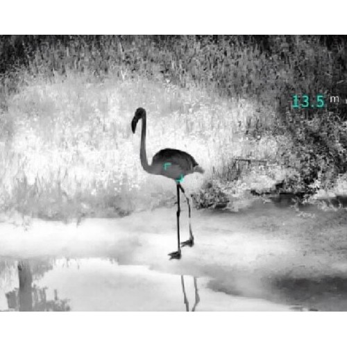 Тепловизионный бинокуляр Guide TN430 400х300, ø35мм, лазерный дальномер в Воронеже