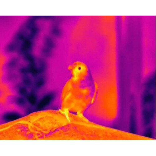 Тепловизионный бинокуляр Guide TN430 400х300, ø35мм, лазерный дальномер в Воронеже